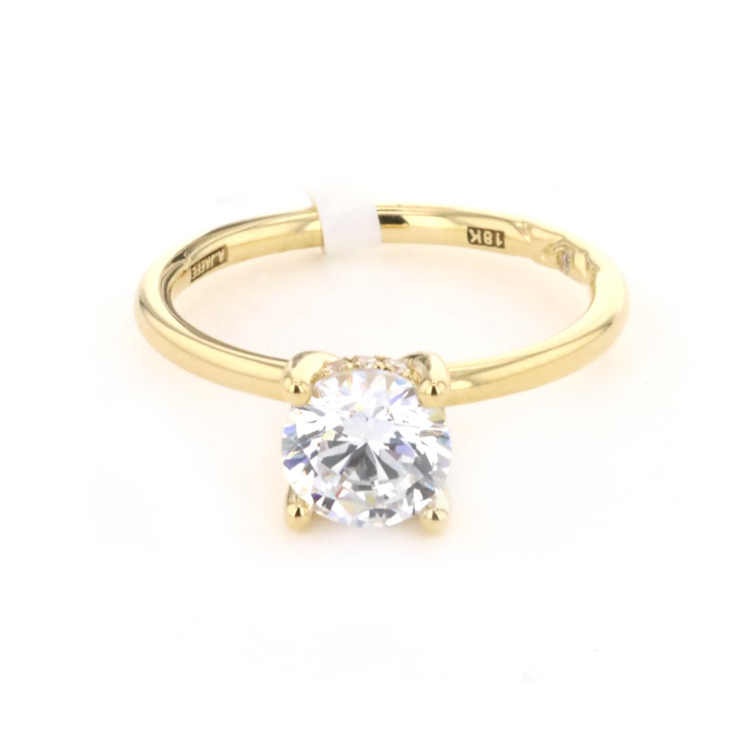 0.07 ctw Diamond Hidden Halo Engagement Ring