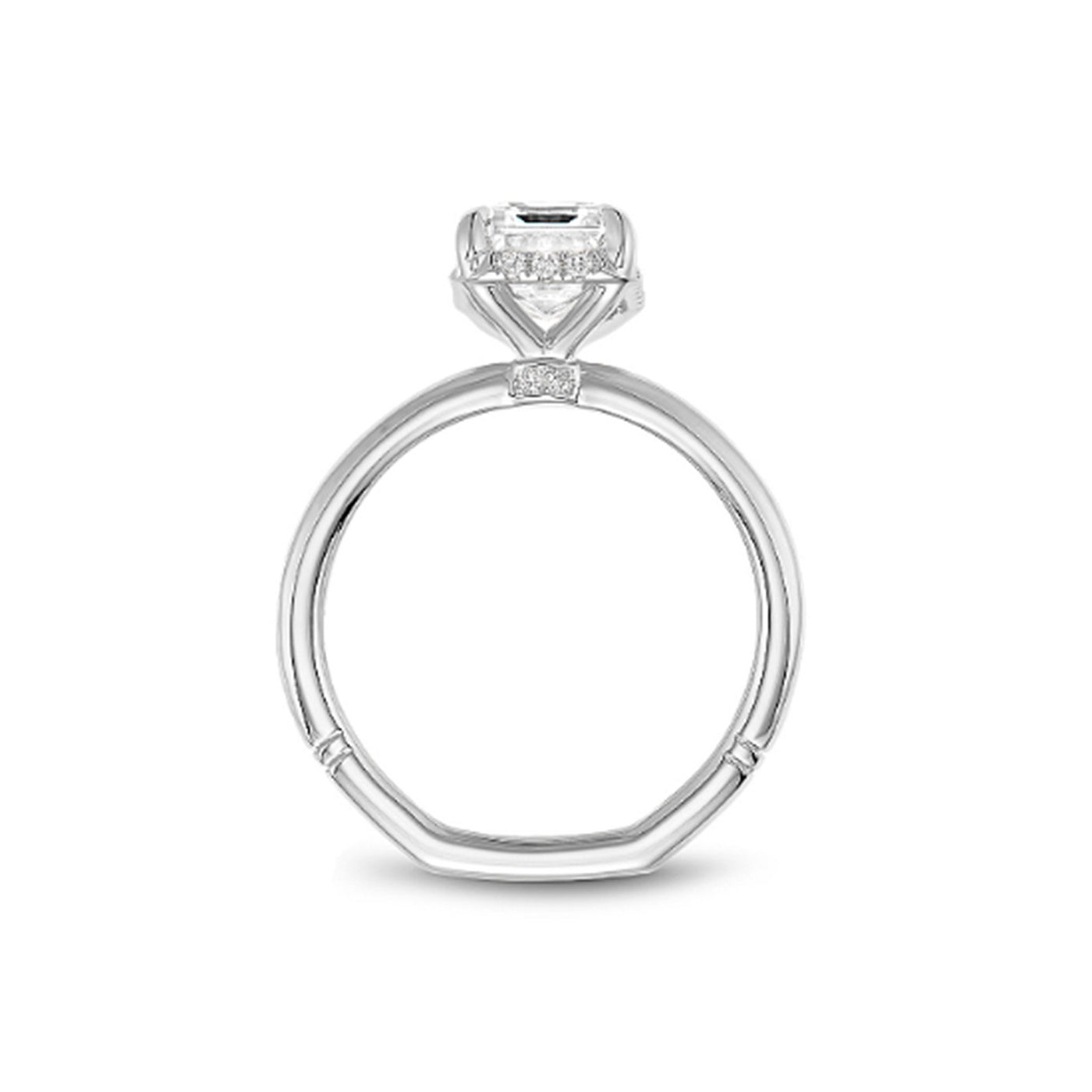 0.11 ctw Diamond Hidden Halo Engagement Ring